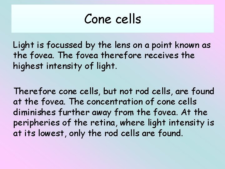 Cone cells Light is focussed by the lens on a point known as the