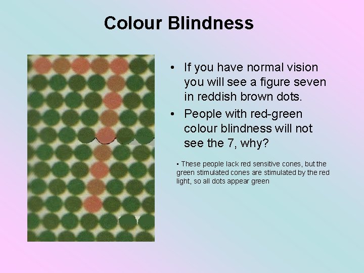 Colour Blindness • If you have normal vision you will see a figure seven