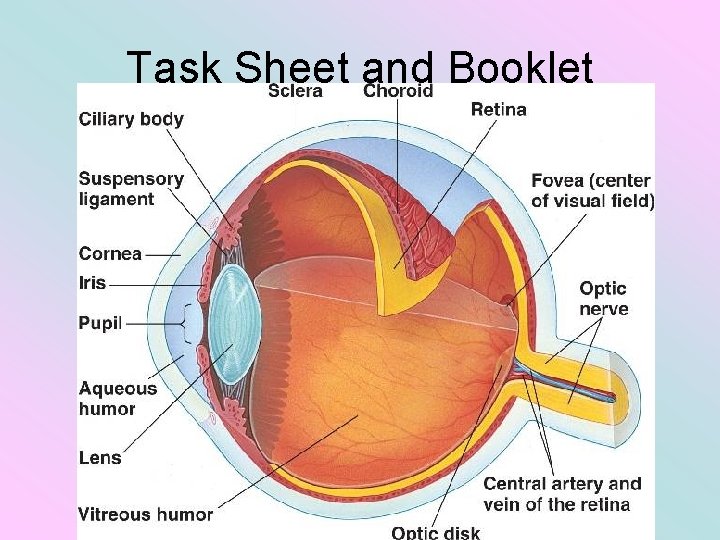Task Sheet and Booklet 