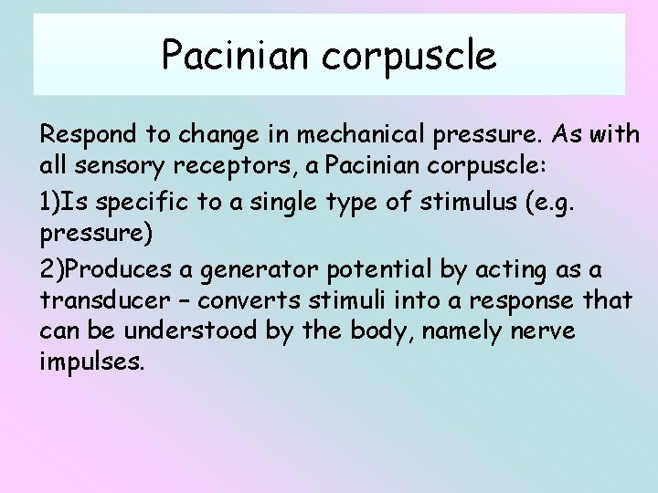 Pacinian corpuscle Respond to change in mechanical pressure. As with all sensory receptors, a