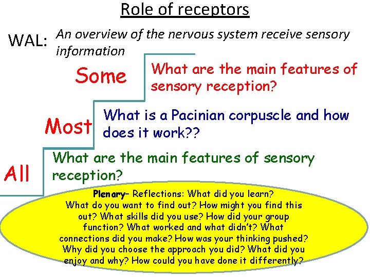 Role of receptors WAL: An overview of the nervous system receive sensory information What