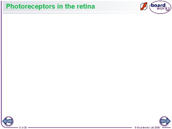 Photoreceptors in the retina 8 of 38 © Boardworks Ltd 2009 