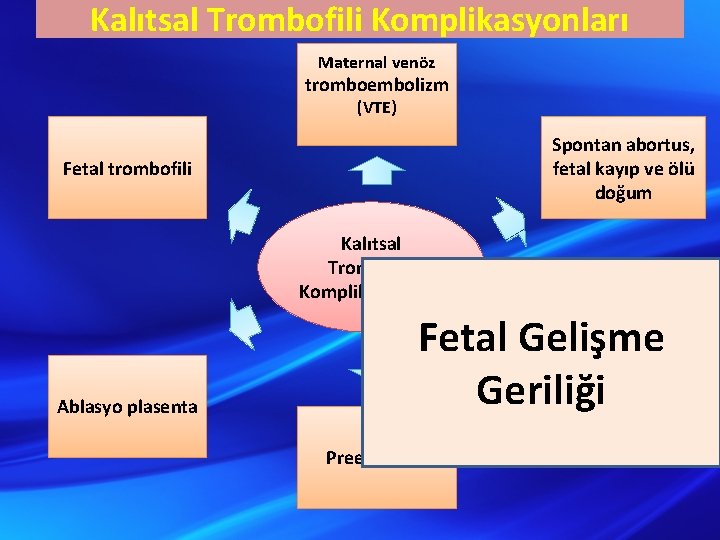 Kalıtsal Trombofili Komplikasyonları Maternal venöz tromboembolizm (VTE) Spontan abortus, fetal kayıp ve ölü doğum