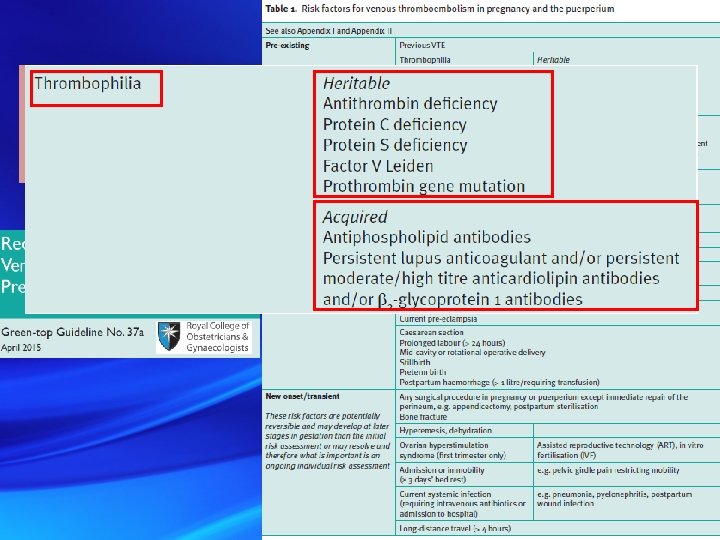 Gebelikte VTE Risk Faktörleri 