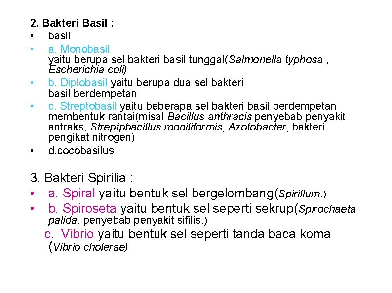 2. Bakteri Basil : • basil • a. Monobasil yaitu berupa sel bakteri basil