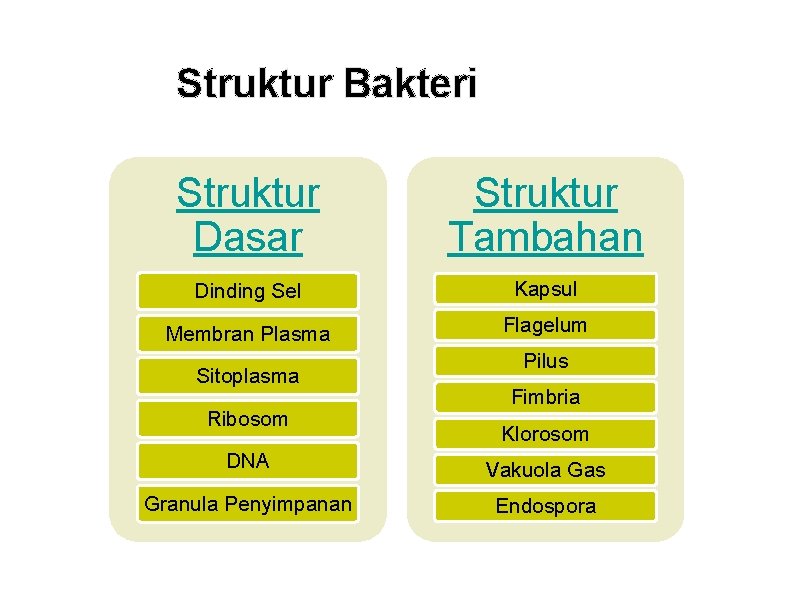 Struktur Bakteri Struktur Dasar Struktur Tambahan Dinding Sel Kapsul Membran Plasma Flagelum Sitoplasma Ribosom