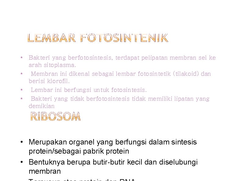  • Bakteri yang berfotosintesis, terdapat pelipatan membran sel ke arah sitoplasma. • Membran