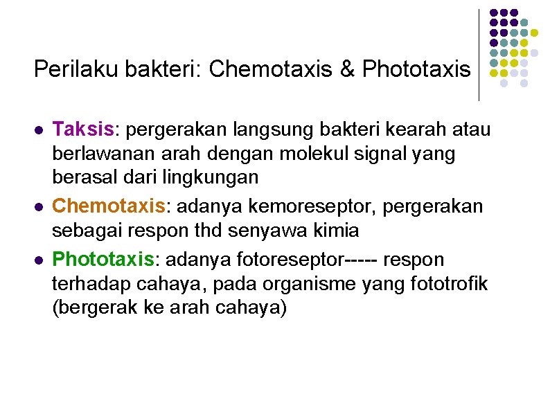 Perilaku bakteri: Chemotaxis & Phototaxis l l l Taksis: pergerakan langsung bakteri kearah atau