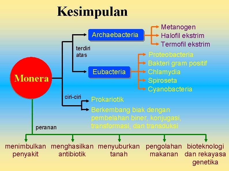 Kesimpulan Archaebacteria terdiri atas Eubacteria Monera ciri-ciri peranan Metanogen Halofil ekstrim Termofil ekstrim Proteobacteria