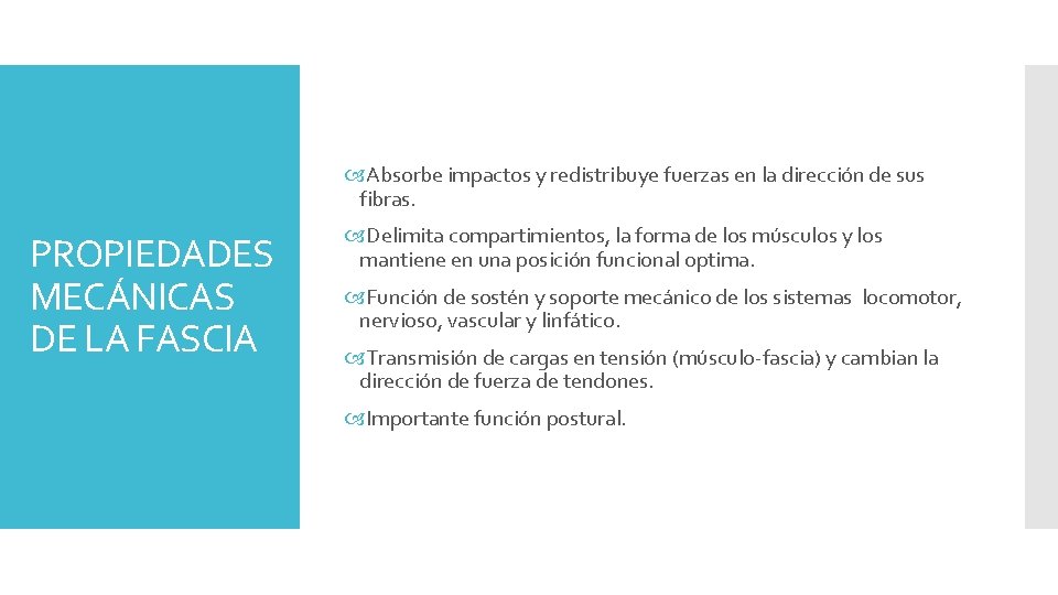  Absorbe impactos y redistribuye fuerzas en la dirección de sus fibras. PROPIEDADES MECÁNICAS