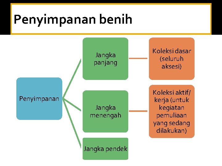 Penyimpanan benih Jangka panjang Koleksi dasar (seluruh aksesi) Jangka menengah Koleksi aktif/ kerja (untuk