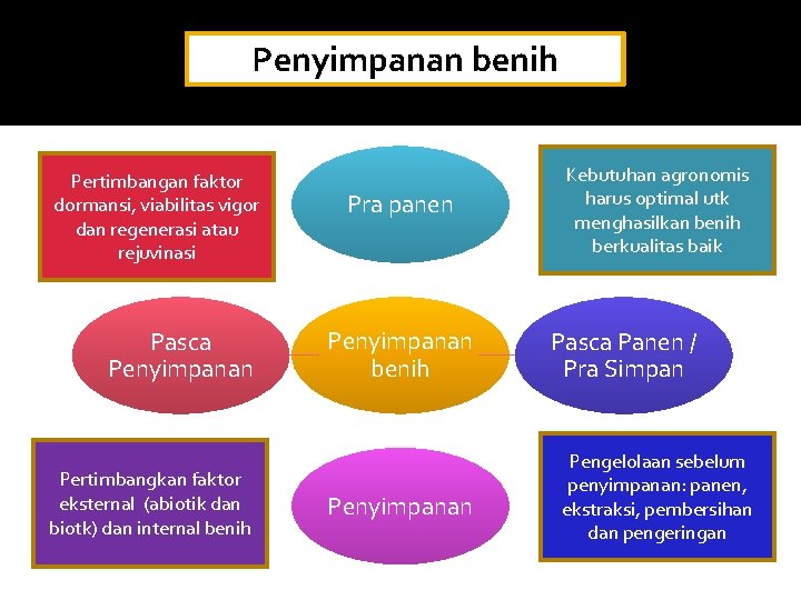 Penyimpanan benih Pertimbangan faktor dormansi, viabilitas vigor dan regenerasi atau rejuvinasi Pasca Penyimpanan Pertimbangkan