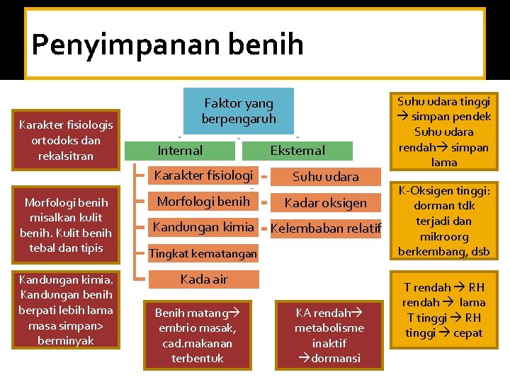 Penyimpanan benih Karakter fisiologis ortodoks dan rekalsitran Morfologi benih misalkan kulit benih. Kulit benih