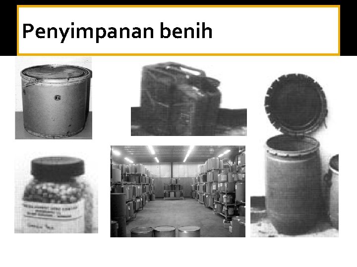 Penyimpanan benih 