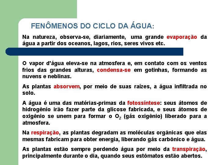 FENÔMENOS DO CICLO DA ÁGUA: Na natureza, observa-se, diariamente, uma grande evaporação da água