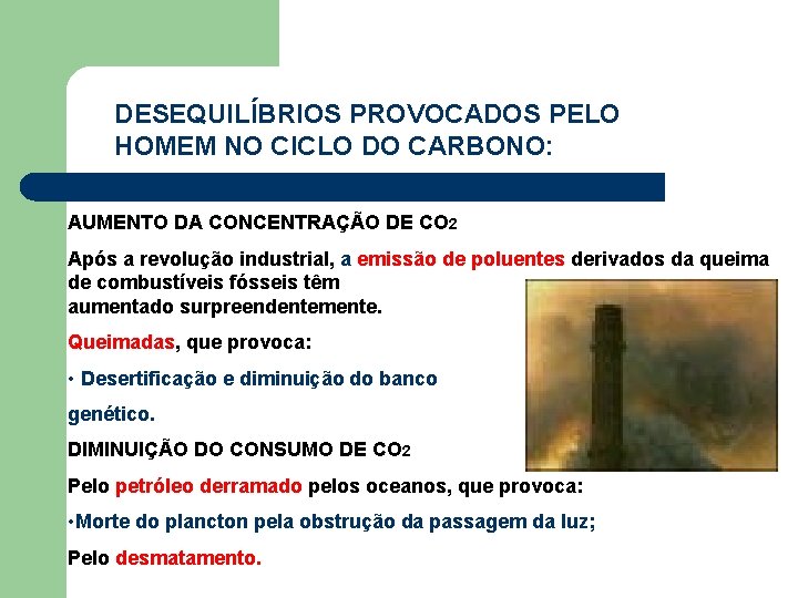 DESEQUILÍBRIOS PROVOCADOS PELO HOMEM NO CICLO DO CARBONO: AUMENTO DA CONCENTRAÇÃO DE CO 2