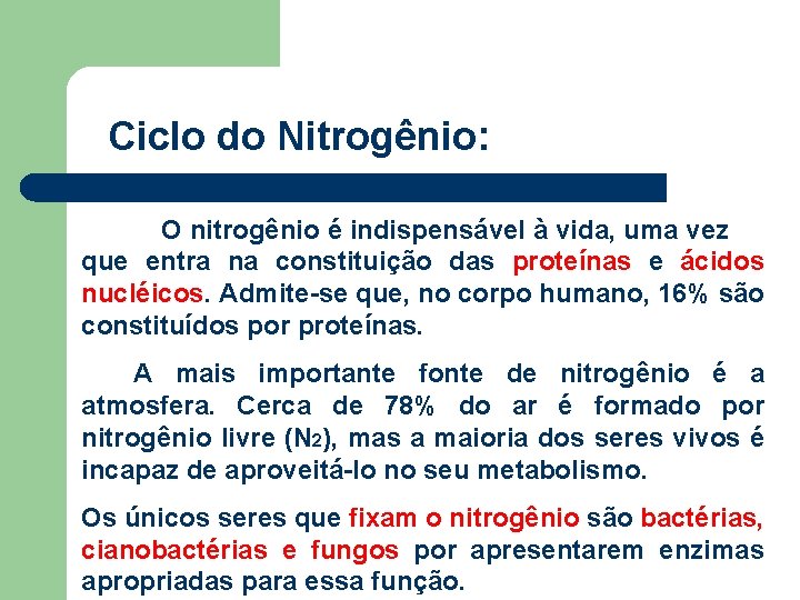 Ciclo do Nitrogênio: O nitrogênio é indispensável à vida, uma vez que entra na