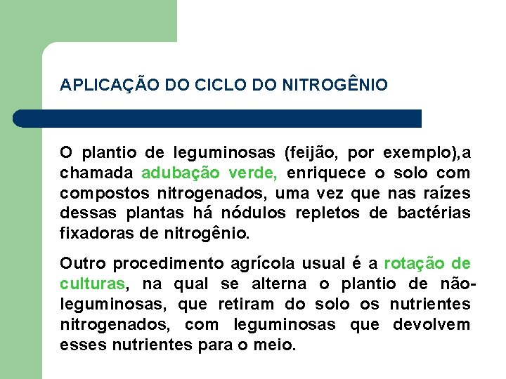 APLICAÇÃO DO CICLO DO NITROGÊNIO O plantio de leguminosas (feijão, por exemplo), a chamada