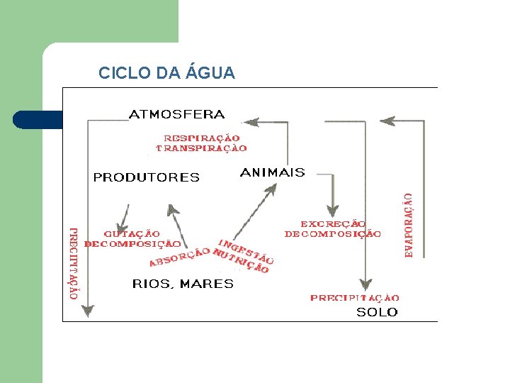 CICLO DA ÁGUA 