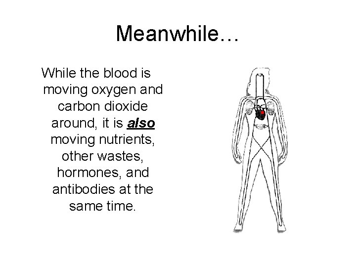Meanwhile… While the blood is moving oxygen and carbon dioxide around, it is also