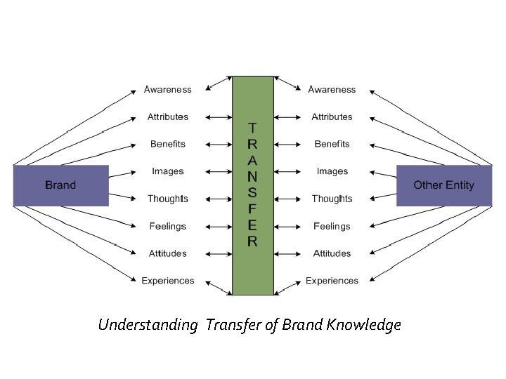 Understanding Transfer of Brand Knowledge 