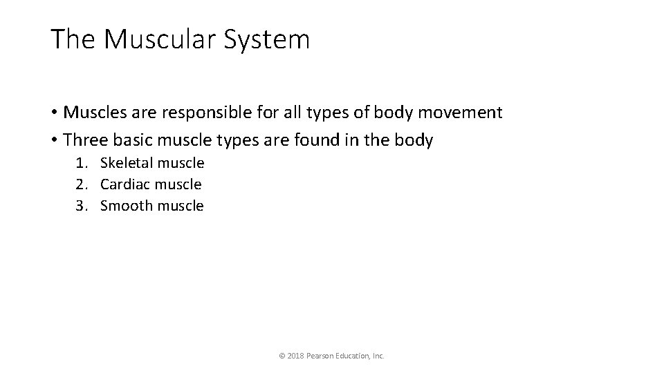 The Muscular System • Muscles are responsible for all types of body movement •