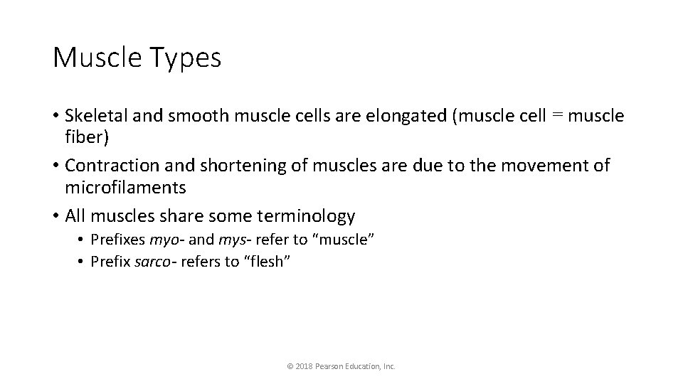 Muscle Types • Skeletal and smooth muscle cells are elongated (muscle cell = muscle