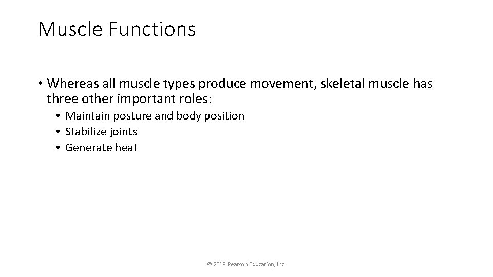 Muscle Functions • Whereas all muscle types produce movement, skeletal muscle has three other