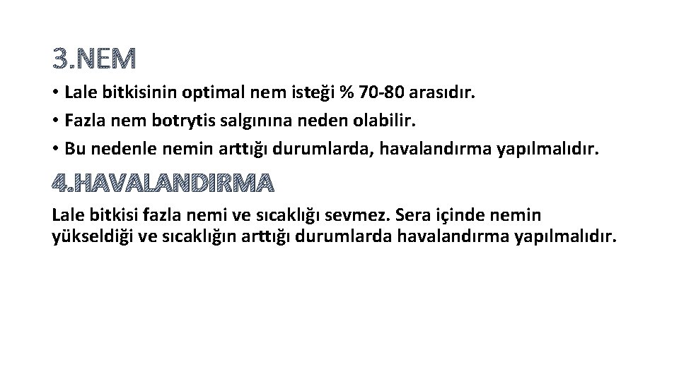 3. NEM • Lale bitkisinin optimal nem isteği % 70 -80 arasıdır. • Fazla