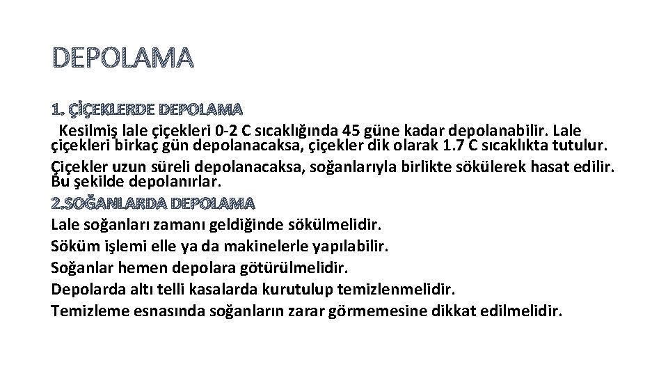 DEPOLAMA 1. ÇİÇEKLERDE DEPOLAMA Kesilmiş lale çiçekleri 0 -2 C sıcaklığında 45 güne kadar