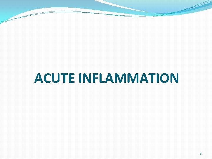 ACUTE INFLAMMATION 6 