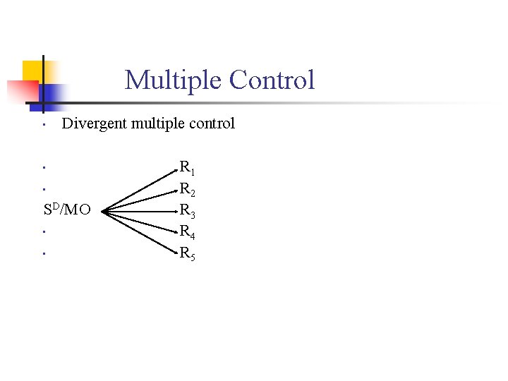 Multiple Control • Divergent multiple control R 1 • R 2 SD/MO R 3