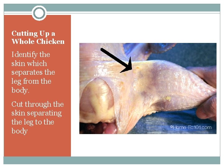 Cutting Up a Whole Chicken Identify the skin which separates the leg from the