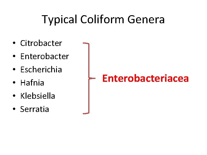 Typical Coliform Genera • • • Citrobacter Enterobacter Escherichia Hafnia Klebsiella Serratia Enterobacteriacea 