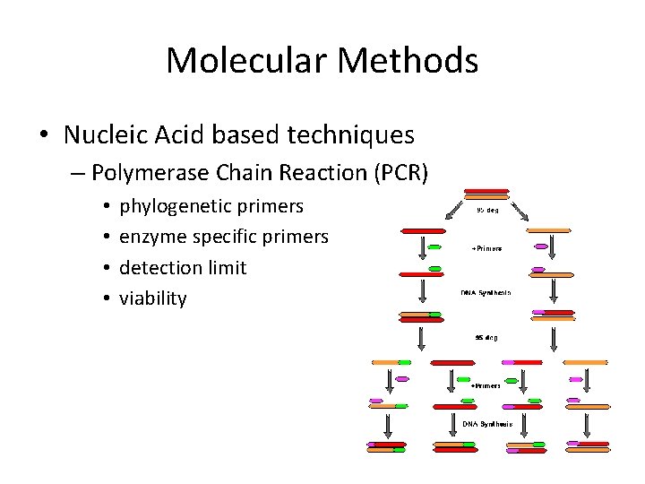 Molecular Methods • Nucleic Acid based techniques – Polymerase Chain Reaction (PCR) • •