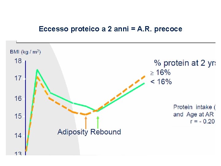 Eccesso proteico a 2 anni = A. R. precoce 