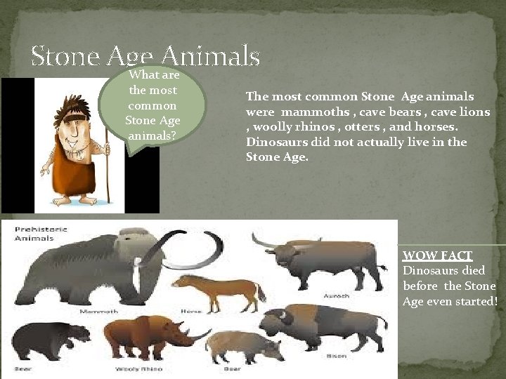 Stone Age Animals What are the most common Stone Age animals? The most common