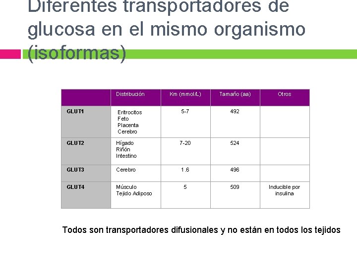 Diferentes transportadores de glucosa en el mismo organismo (isoformas) Distribución Km (mmol/L) Tamaño (aa)