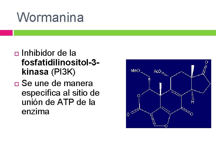 Wormanina Inhibidor de la fosfatidilinositol-3 kinasa (PI 3 K) Se une de manera específica