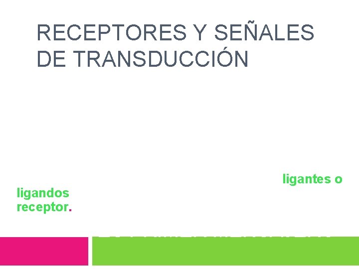 RECEPTORES Y SEÑALES DE TRANSDUCCIÓN Material soluble en agua, iones, pequeñas moléculas inorgánicas, polipéptidos