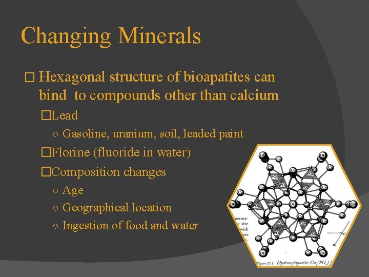 Changing Minerals � Hexagonal structure of bioapatites can bind to compounds other than calcium