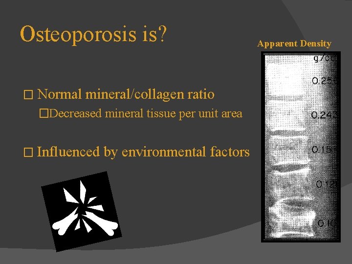 Osteoporosis is? � Normal mineral/collagen ratio �Decreased mineral tissue per unit area � Influenced