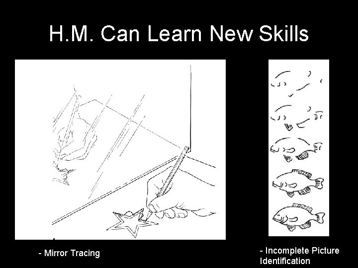 H. M. Can Learn New Skills - Mirror Tracing - Incomplete Picture Identification 