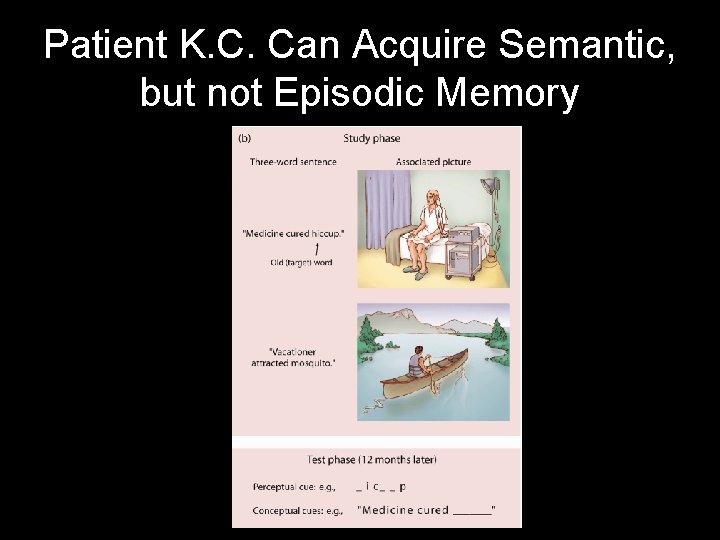 Patient K. C. Can Acquire Semantic, but not Episodic Memory 