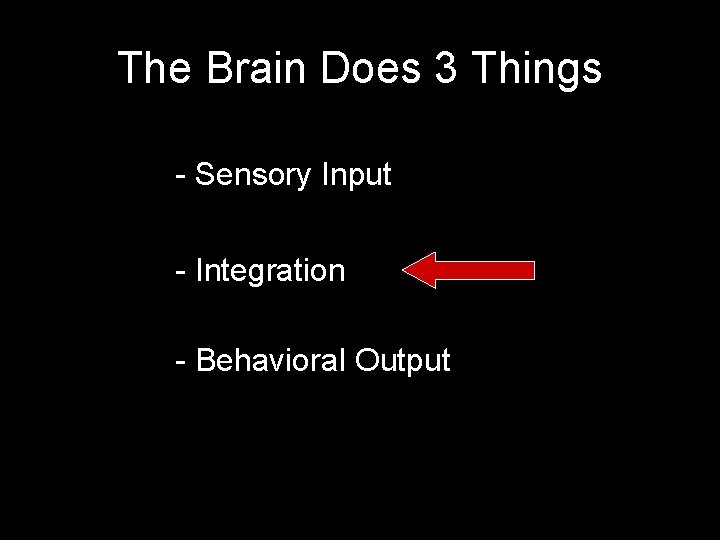 The Brain Does 3 Things - Sensory Input - Integration - Behavioral Output 
