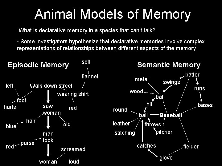 Animal Models of Memory What is declarative memory in a species that can’t talk?