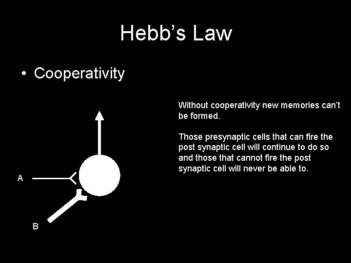 Hebb’s Law • Cooperativity Without cooperativity new memories can’t be formed. Those presynaptic cells