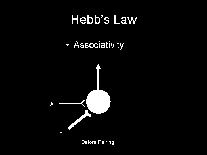 Hebb’s Law • Associativity A B Before Pairing 