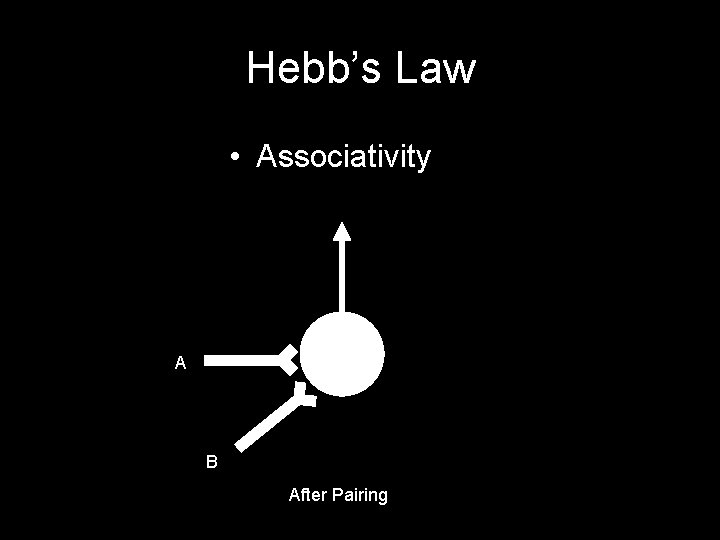 Hebb’s Law • Associativity A B After Pairing 