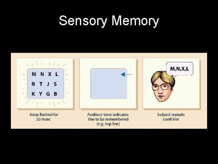 Sensory Memory 